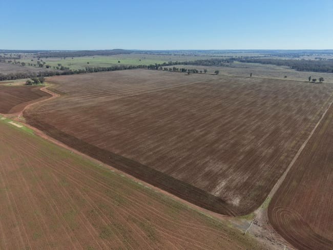 366 Mercadool Lane Bogan Gate NSW 2876