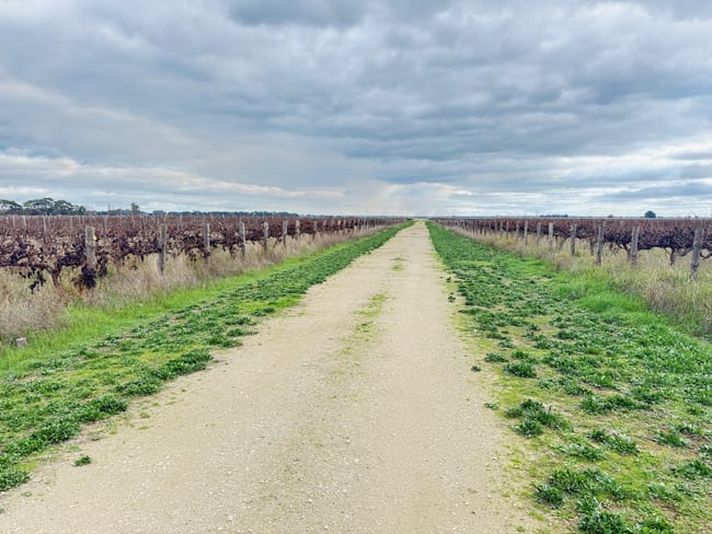 Lot 2/322 Giles Rd Coonawarra SA 5263 Lot 2/322 Giles Rd Coonawarra SA 5263