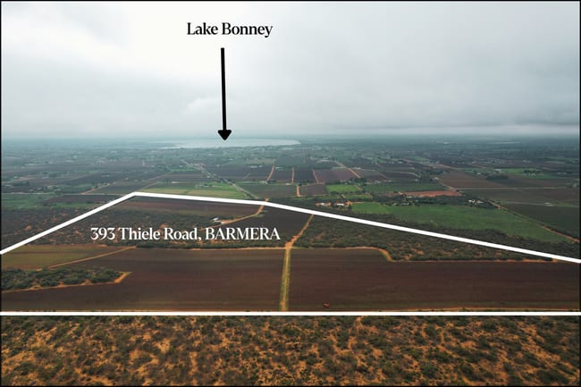 393 Thiele Road Loveday SA 5345 393 Thiele Road Loveday SA 5345
