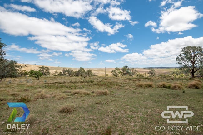 214, - Piggery Road Red Range NSW 2370 214, - Piggery Road Red Range NSW 2370