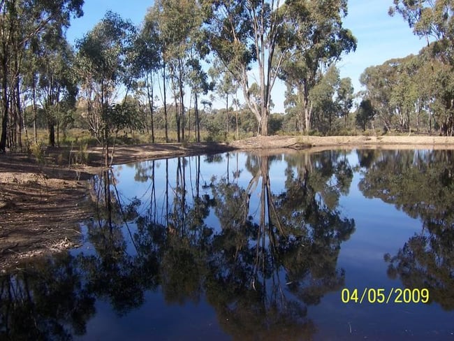 Willows Road Murchison VIC 3610