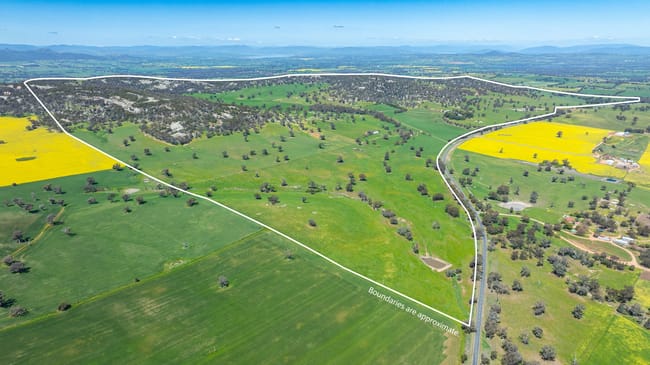 833 Walla Walla Jindera Road Walla Walla NSW 2659 833 Walla Walla Jindera Road Walla Walla NSW 2659