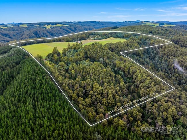211 West Calder Road Calder TAS 7325