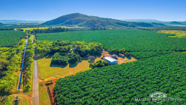 1597 Chewko Road Walkamin QLD 4872 1597 Chewko Road Walkamin QLD 4872
