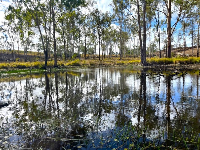 Lot 258/ Thies Road Brooklands QLD 4615 Lot 258/ Thies Road Brooklands QLD 4615