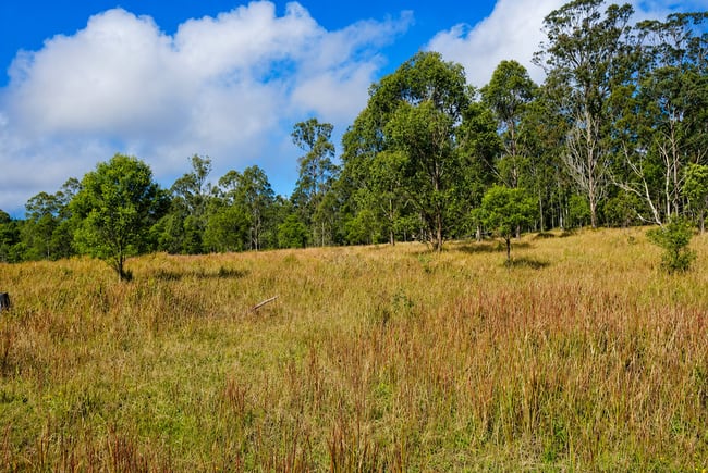 Lot 105 97 Long Gully Road Drake NSW 2469