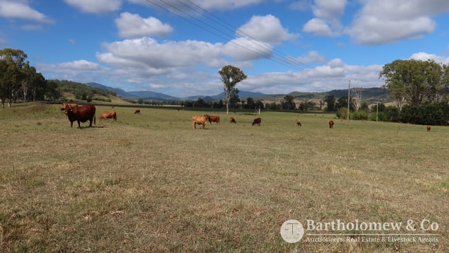 1459 Christmas Creek Road Christmas Creek QLD 4285