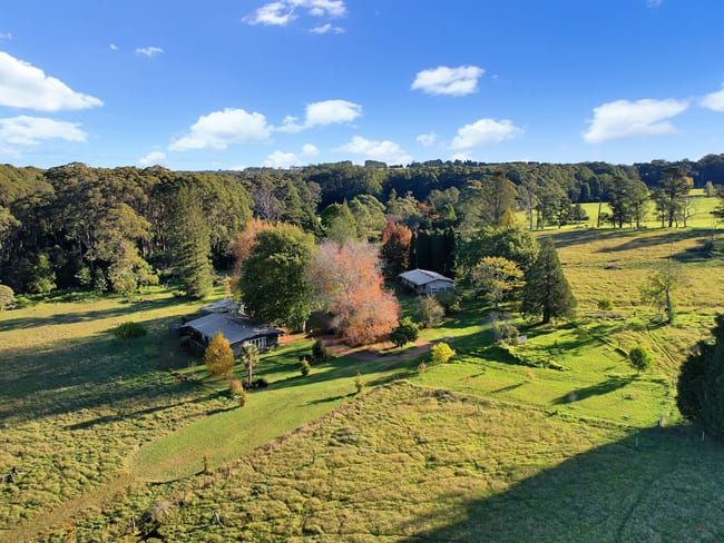 55 Yarrunga Road Wildes Meadow NSW 2577
