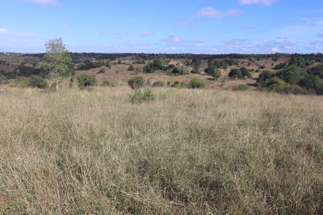 20963 Burnett Highway Mundubbera QLD 4626 20963 Burnett Highway Mundubbera QLD 4626