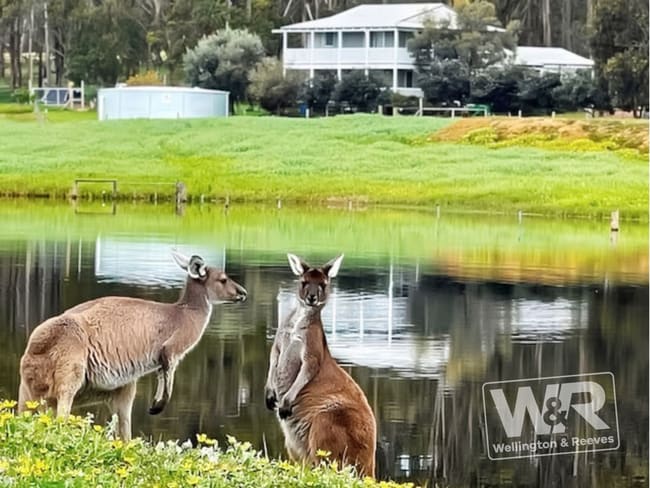 73 Monash Road Kendenup WA 6323 73 Monash Road Kendenup WA 6323