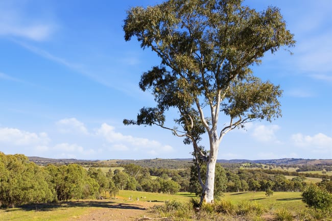 Lot 1/872 Dicks Creek Road Murrumbateman NSW 2582 Lot 1/872 Dicks Creek Road Murrumbateman NSW 2582