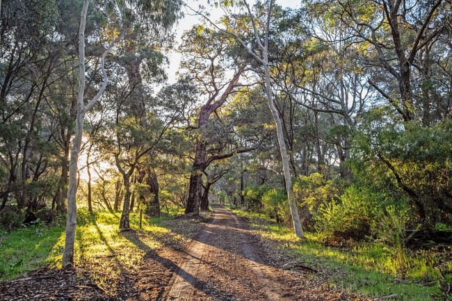546 Boodjidup Road Redgate WA 6286 546 Boodjidup Road Redgate WA 6286