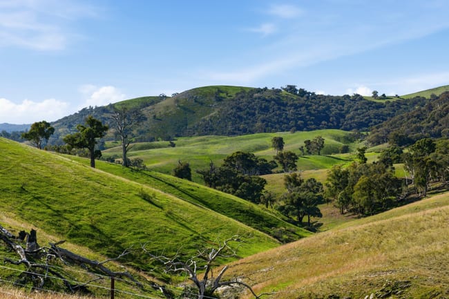 1208 Sawyers Gully Road Mullion NSW 2582