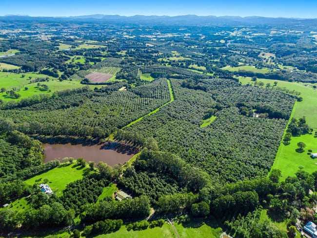 269 Sneaths Road Wollongbar NSW 2477 269 Sneaths Road Wollongbar NSW 2477