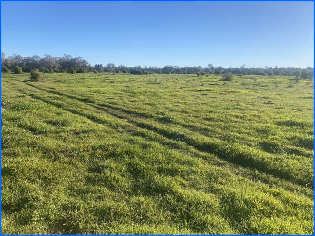 Lot 58 Rankin Springs Road Lake Cargelligo NSW 2672 Lot 58 Rankin Springs Road Lake Cargelligo NSW 2672