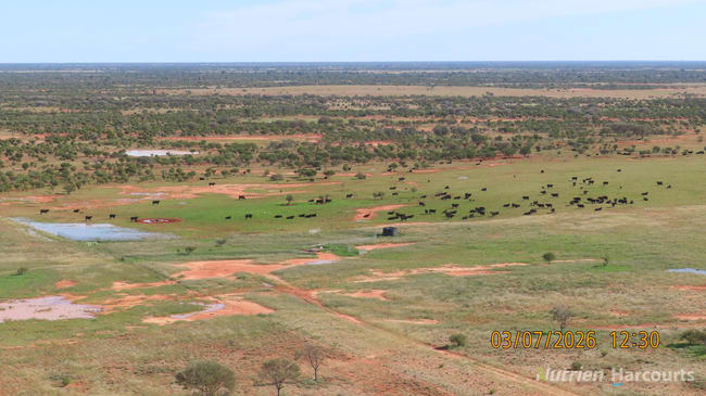 * Borrona Downs Station Broken Hill NSW 2880 * Borrona Downs Station Broken Hill NSW 2880