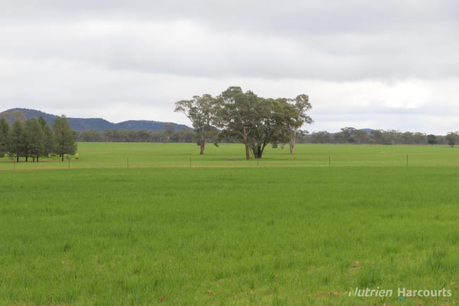 386 Sarona Downs Road Hermidale NSW 2831