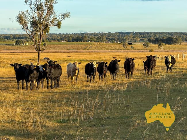 2, . Bridget Carroll Road Kingaroy QLD 4610