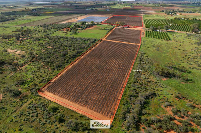 166 Keenans Drive Coomealla NSW 2717 166 Keenans Drive Coomealla NSW 2717