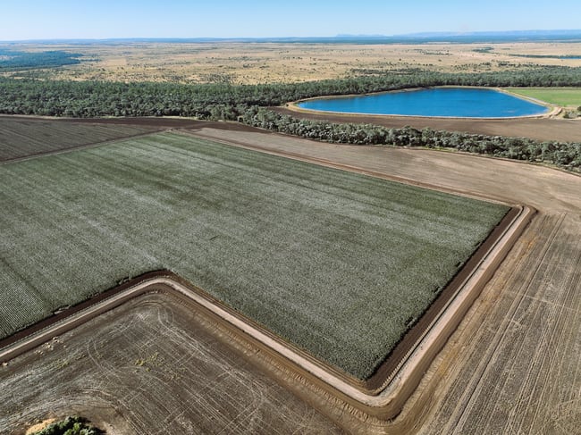 2527 Comet Downs Road Arcturus QLD 4702 2527 Comet Downs Road Arcturus QLD 4702