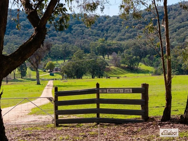 191 Ferndale Road Woomargama NSW 2644