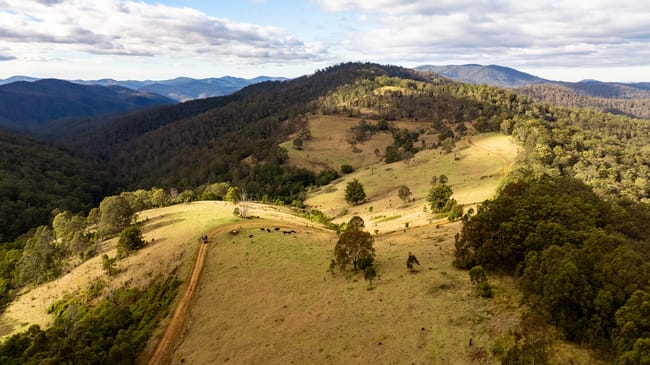 2685 Enfield Range Road Cooplacurripa NSW 2424