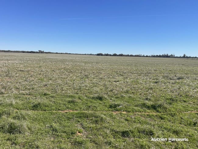 331 Red Dam Road Cleary WA 6472 331 Red Dam Road Cleary WA 6472