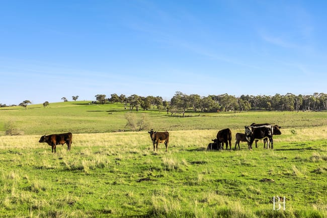 615 Old Mill Road Bylands VIC 3762 615 Old Mill Road Bylands VIC 3762