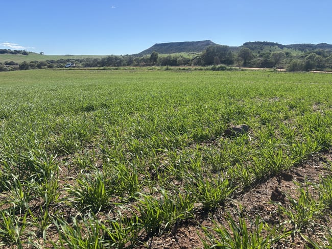 199 Hatch Road Bowes WA 6535 199 Hatch Road Bowes WA 6535