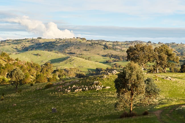 254 FERNHILLS ROAD Sheans Creek VIC 3666