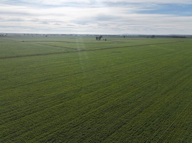 'Hazileigh' 411 Hawthorns Lane Berry Jerry NSW 2701 'Hazileigh' 411 Hawthorns Lane Berry Jerry NSW 2701