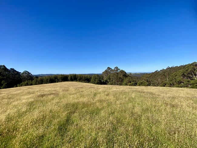 1431 Preolenna Road Moorleah TAS 7325 1431 Preolenna Road Moorleah TAS 7325