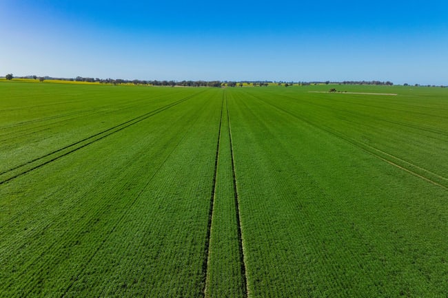 Barmedman NSW 2668 Barmedman NSW 2668