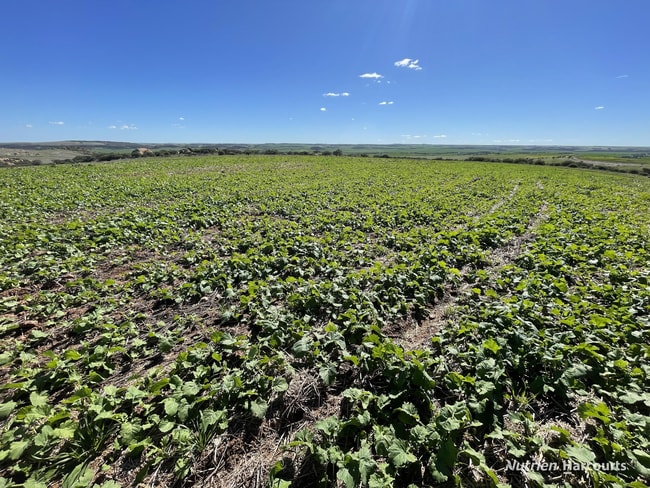 Lot 65 Forrester Road Mount Erin WA 6532 Lot 65 Forrester Road Mount Erin WA 6532
