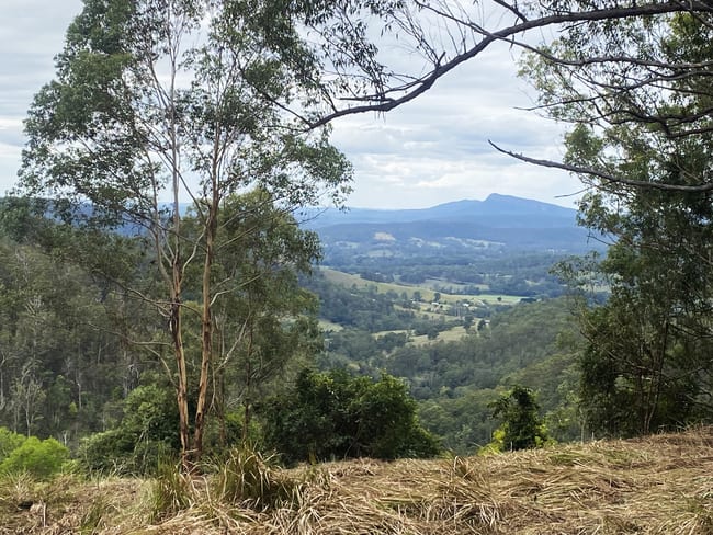Lot 220 Comboyne Road Byabarra NSW 2446 Lot 220 Comboyne Road Byabarra NSW 2446