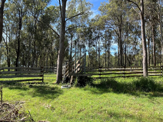 LOT 14 Old Dyraaba Road Lower Dyraaba NSW 2470