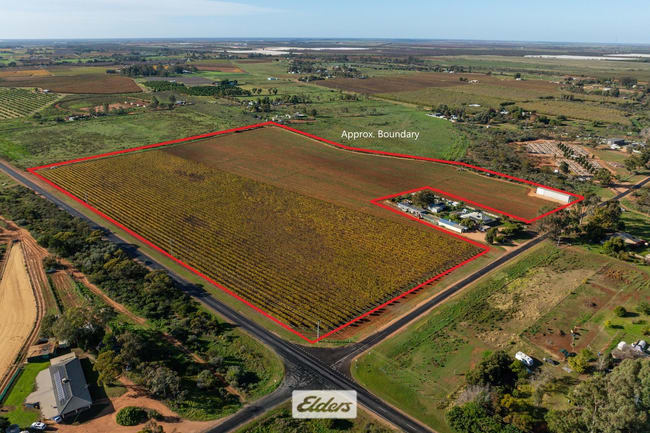 Lot/2 Lowan Avenue Red Cliffs VIC 3496 Lot/2 Lowan Avenue Red Cliffs VIC 3496