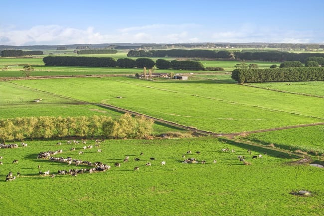 801 Timboon-Colac Road Jancourt East VIC 3266