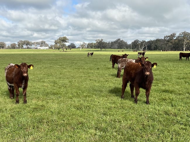 'Rocklyn' Nation Road Burrumbuttock NSW 2642