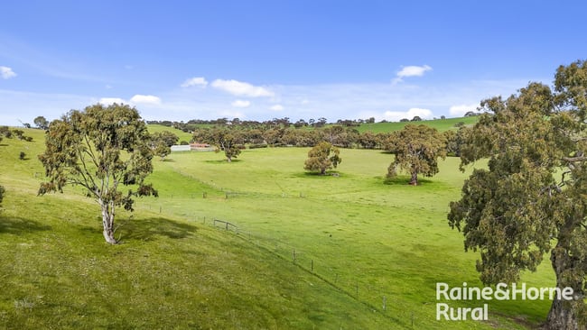 48 Mine Flat Road Strathalbyn SA 5255