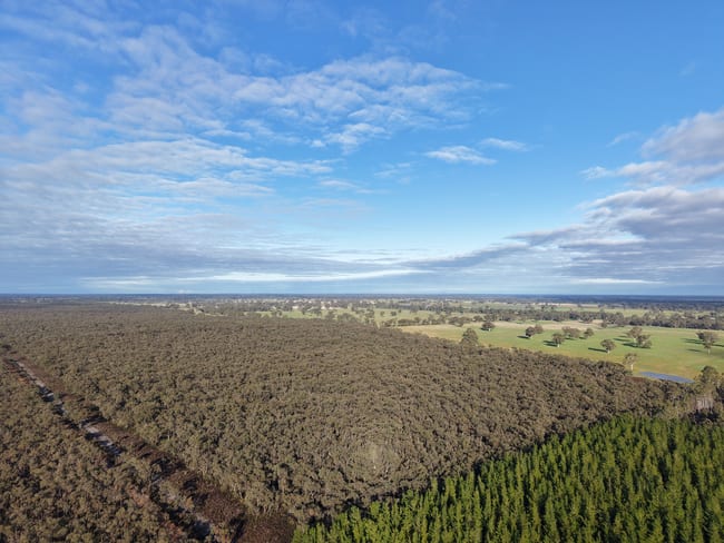 Lot 2 Jim Ryans Road Edenhope VIC 3318 Lot 2 Jim Ryans Road Edenhope VIC 3318