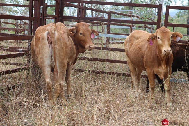 Lot 161 Little Reids Creek Road Mount Perry QLD 4671 Lot 161 Little Reids Creek Road Mount Perry QLD 4671