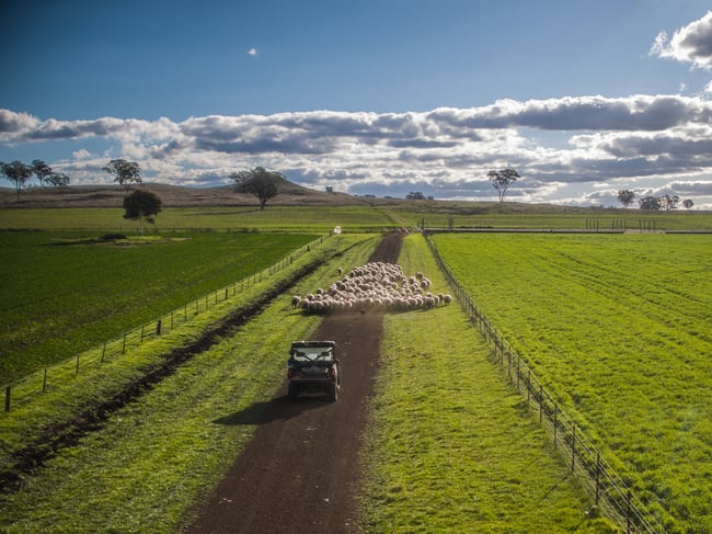 4500 Purlewaugh Road Purlewaugh NSW 2357 4500 Purlewaugh Road Purlewaugh NSW 2357