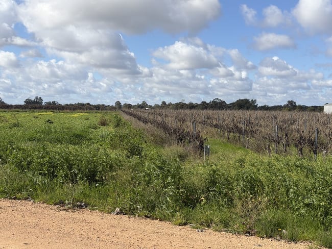 Lot 37 Sturt Highway Cobdogla SA 5346