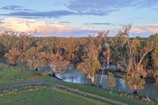 319 Balranald Road Moulamein NSW 2733 319 Balranald Road Moulamein NSW 2733