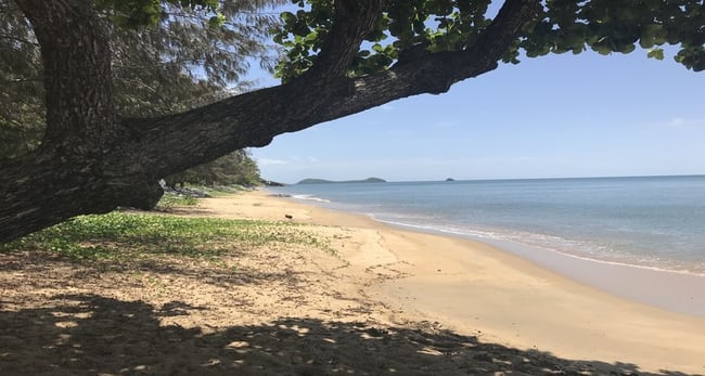 Trinity Beach QLD 4879