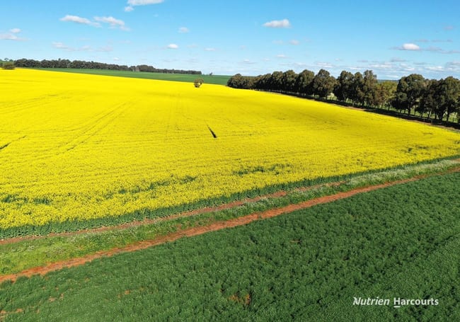 223 Mungedar Road Badgingarra WA 6521 223 Mungedar Road Badgingarra WA 6521