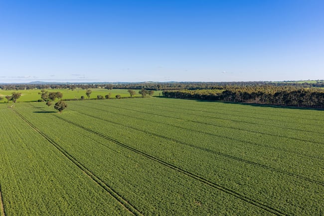 Henty-Walla Road Culcairn NSW 2660
