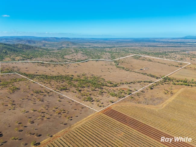 242 Rubys Road Gogango QLD 4702 242 Rubys Road Gogango QLD 4702