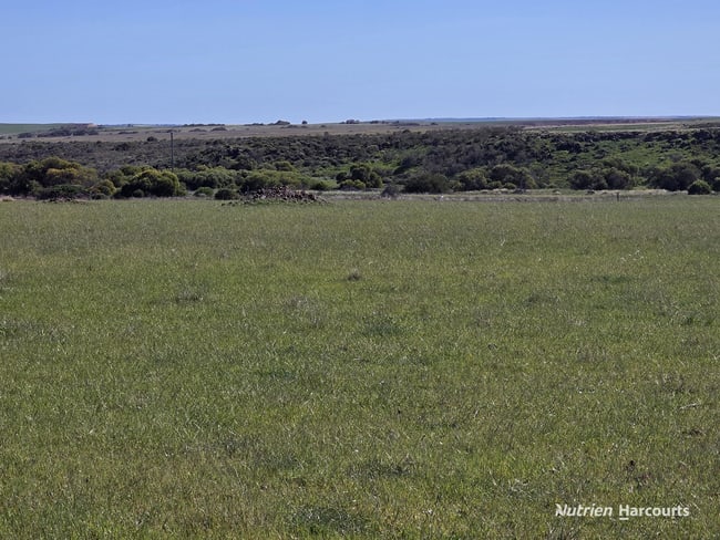 Lot 13 Port Gregory Road Yallabatharra WA 6535